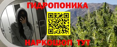 каннабис Камень-на-Оби