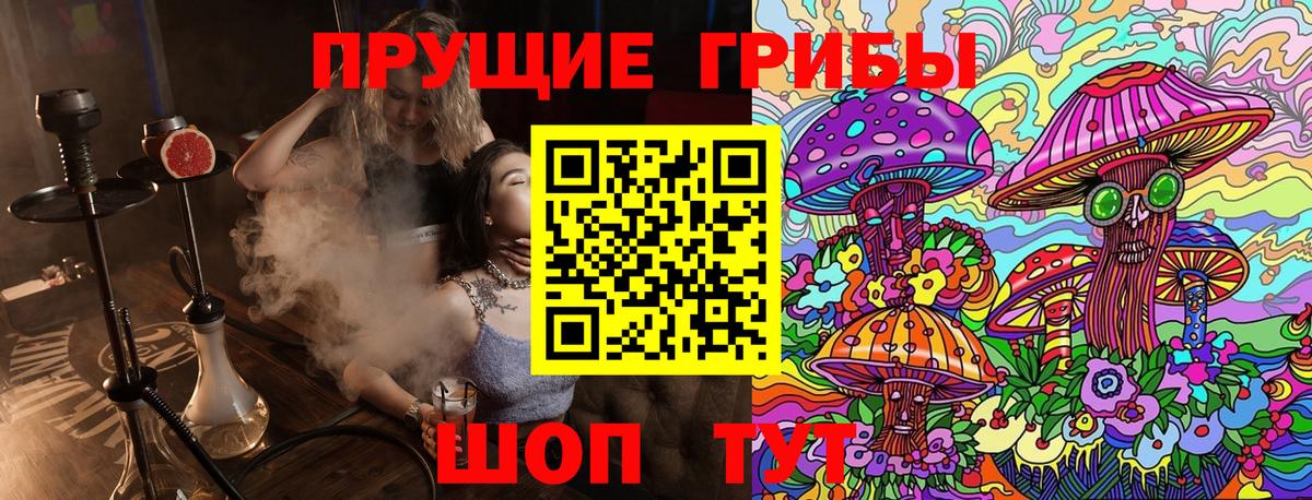 Псилоцибиновые грибы Psilocybine cubensis Борзя