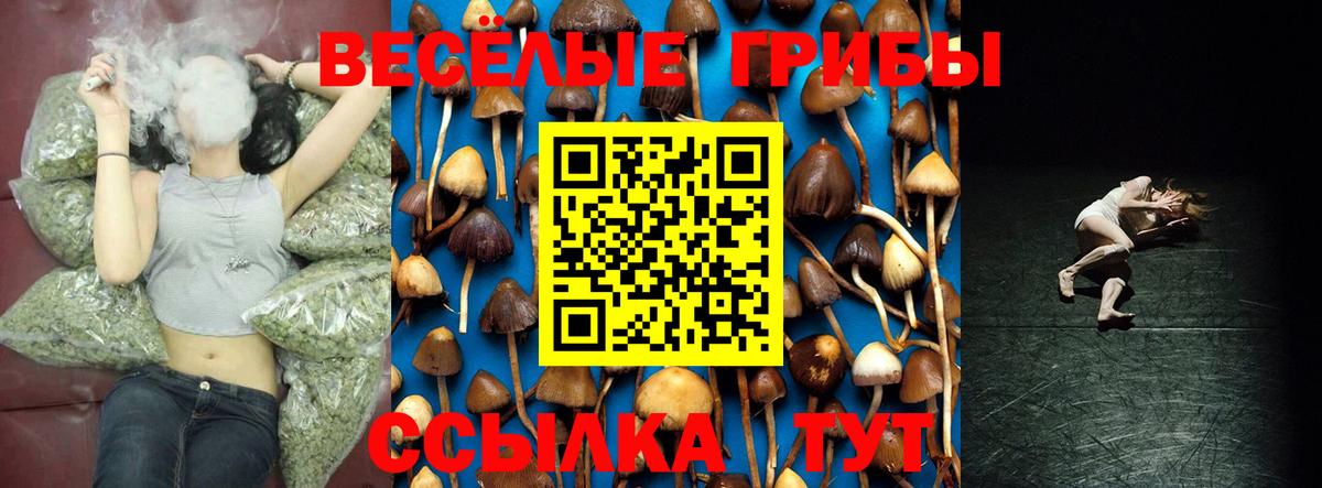 Борзя  Галлюциногенные грибы Magic Shrooms  Вход с VPN 